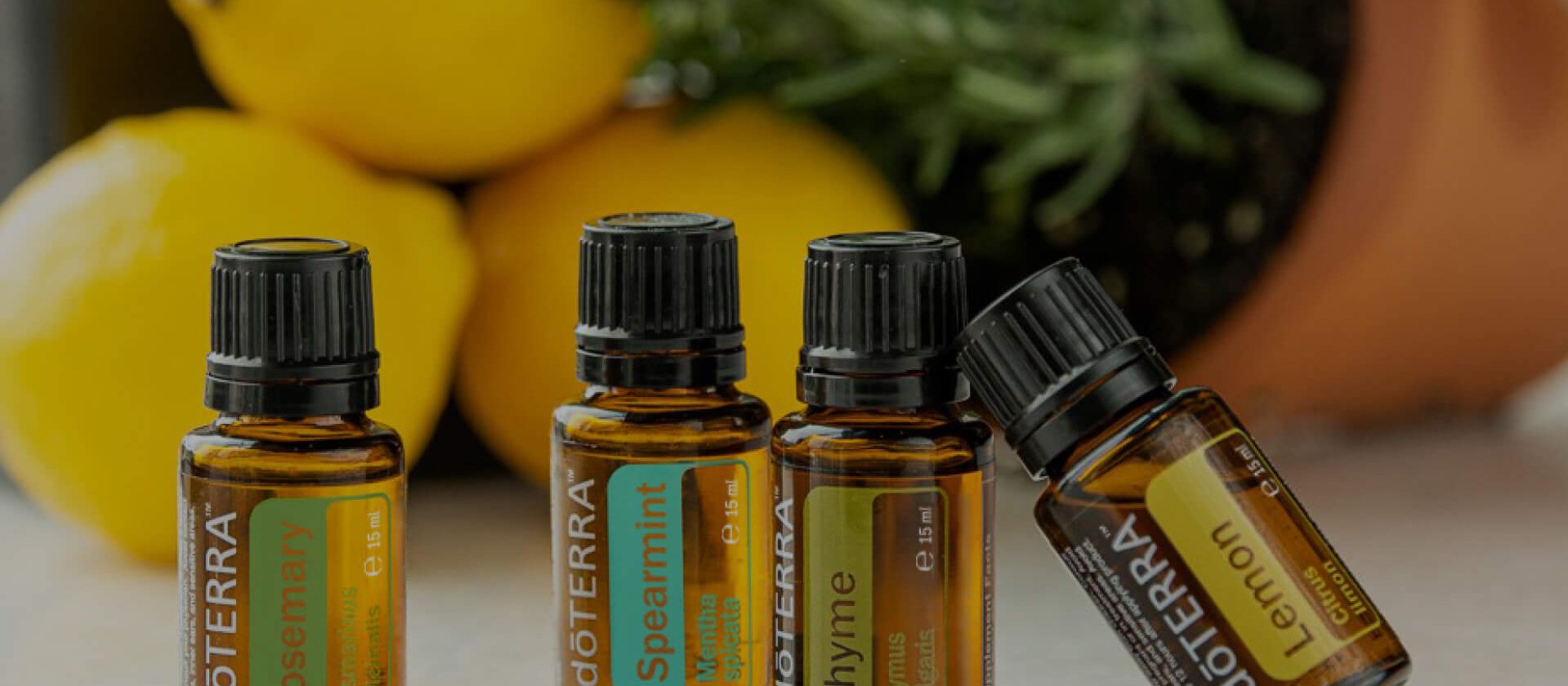 Aroma Friends Club - METAPWR & LLV 