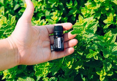 За doTERRA - AROMA FRIENDS CLUB